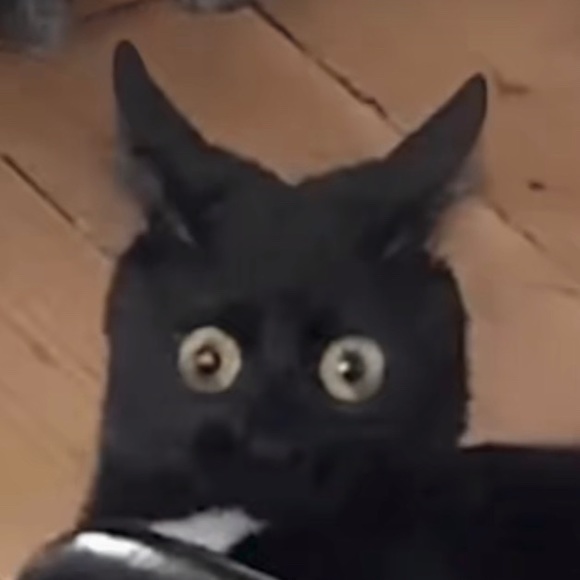 Meet your Posher, Brooke - Picture 1 of 1